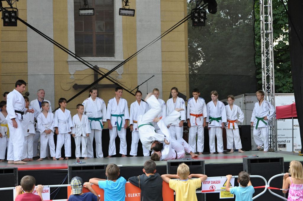 ukazky 2012__20.JPG
